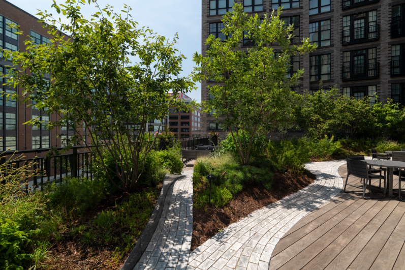 Second Story community rooftop